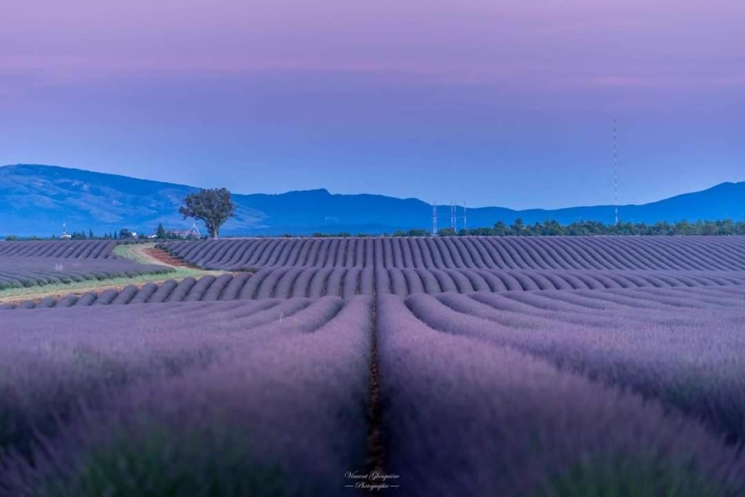 Villa Clea แซ็งต์-ปอล-เลซ-ดูร็องส์ ภายนอก รูปภาพ