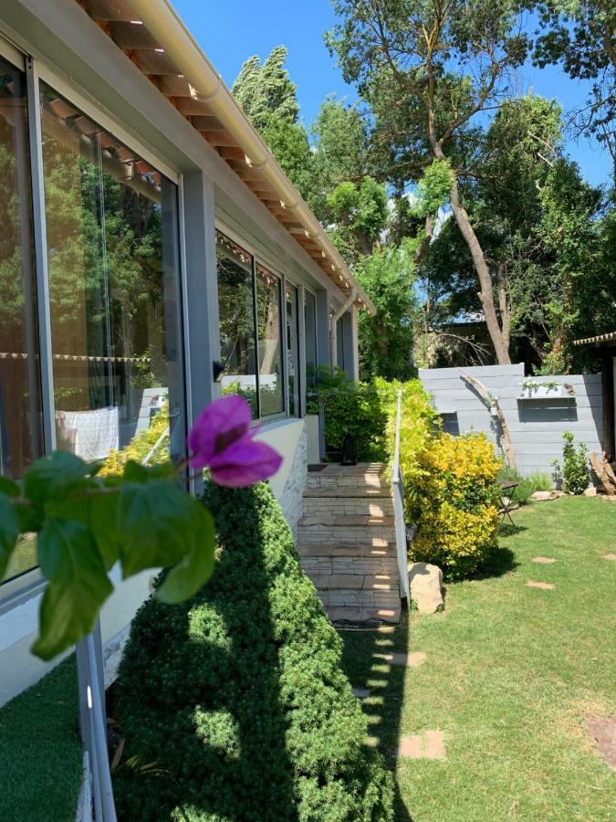 Villa Clea แซ็งต์-ปอล-เลซ-ดูร็องส์ ภายนอก รูปภาพ
